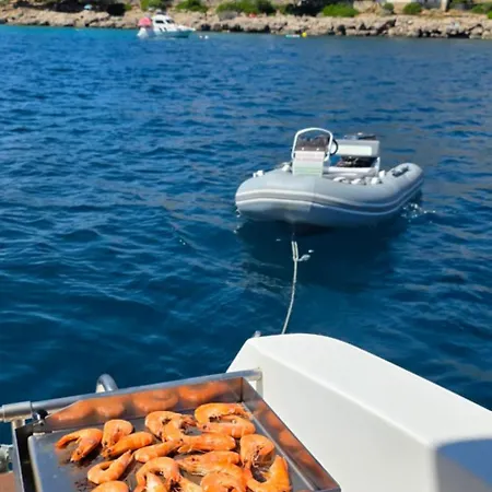 43 Ft Motoryacht In Botel *